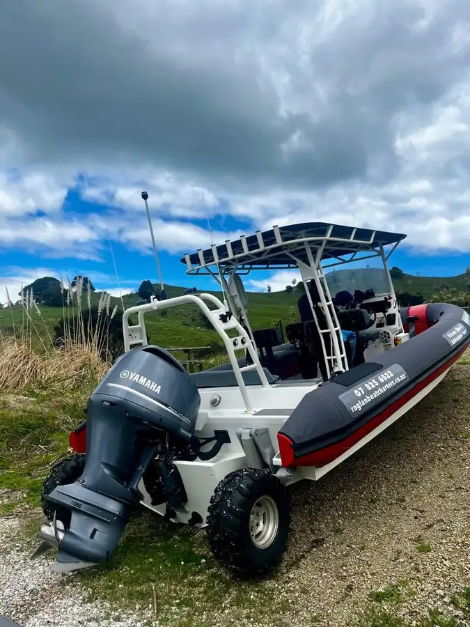 Amfibinen Myytävänä