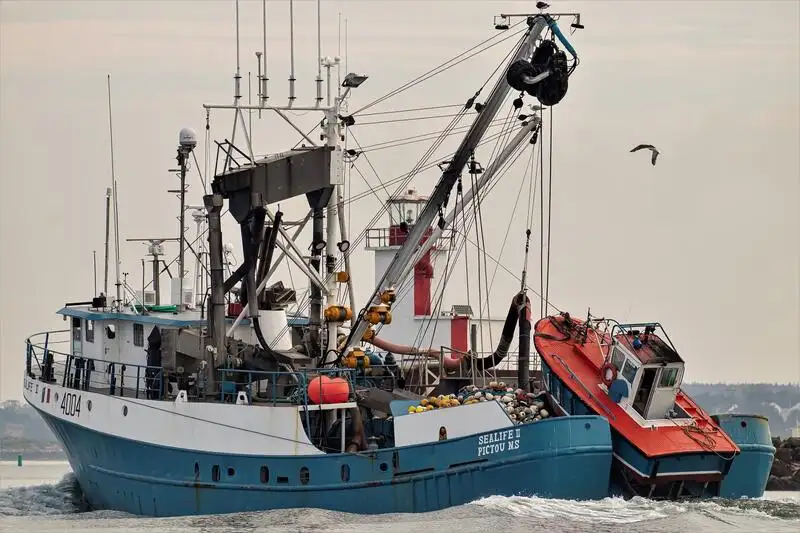 nuottaa Myytävänä