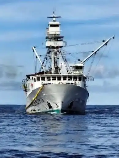 nuottaa Myytävänä