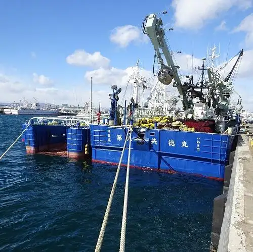 nuottaa Myytävänä