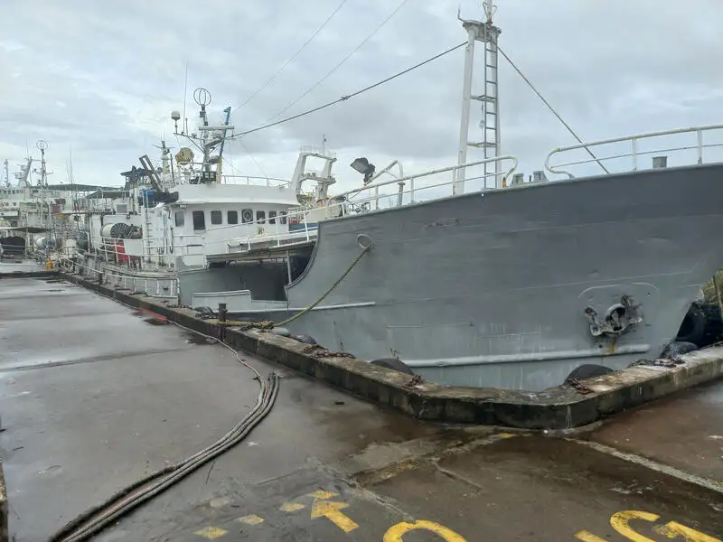 Pitkäsiima-alus Myytävänä