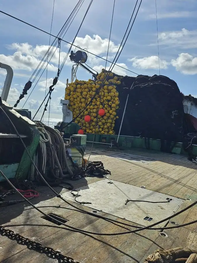 nuottaa Myytävänä