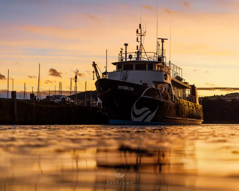 Tutkimusalus Myytävänä