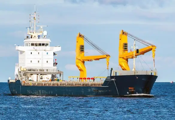 Bulk carrier for sale