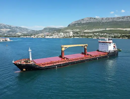 Bulk carrier for sale