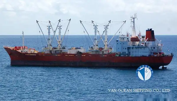 Reefer ship for sale