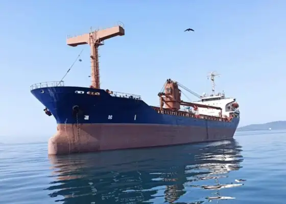 Bulk carrier for sale