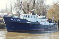 Partiovene Myytävänä