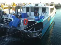 Katamaraani Myytävänä