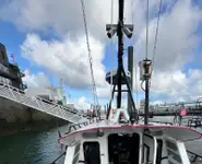 Pilottivene Myytävänä