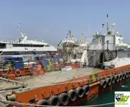 tuulipuistoalus Myytävänä