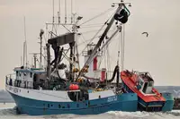 nuottaa Myytävänä