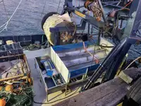 Metalliromua Myytävänä