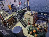 Metalliromua Myytävänä