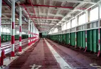 RORO laiva Myytävänä