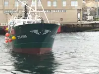 Kalastustroolari Myytävänä